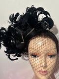 Fascinateur plumes noir Megs
